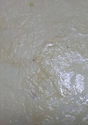 A picture of Rabri.