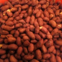 Pan fried ground nuts A picture of Pan fried ground nuts.