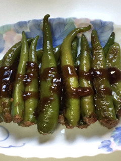 翡翠椒鑲肉 |功夫年菜 的食譜成品照片