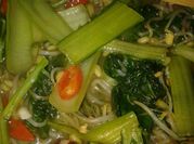 Gambar caisin tumis toge