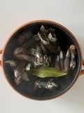 Percebes cocidos
