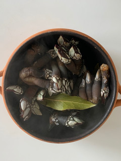 Una foto de Percebes cocidos