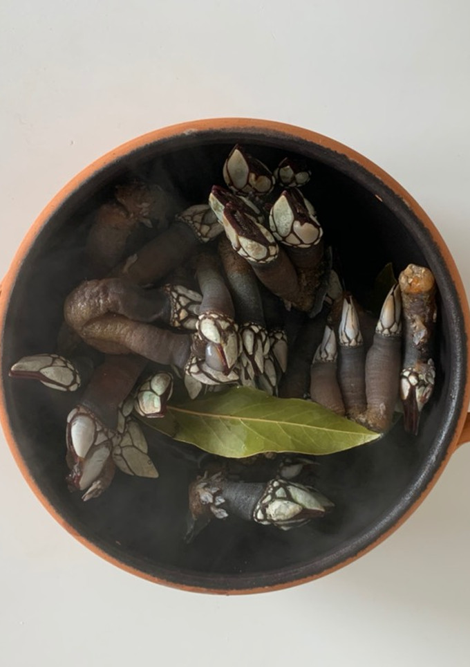 Una foto de Percebes cocidos