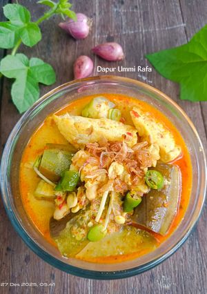 Foto resep Lodeh ndeso Terung Ungu