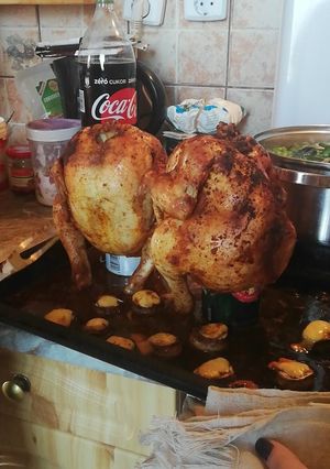 Sörön sült csirke recept fotója