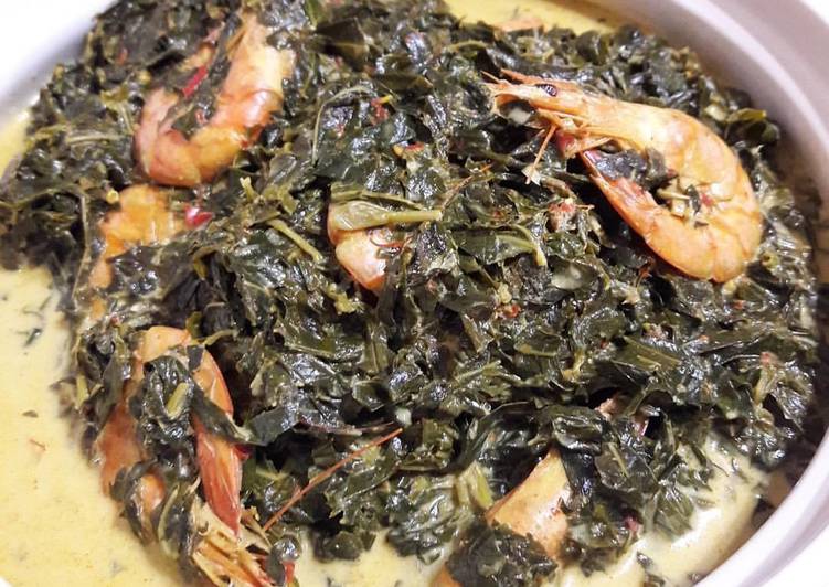 Daun singkong udang