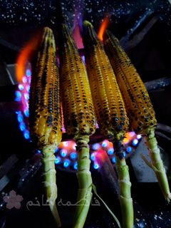 عکسی از دستور بلال
