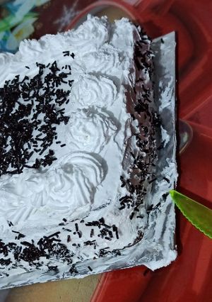 ચોકલેટ એન્ડ વેનીલા કેક(chocolate and vanila cake recipe in Gujarati) રેસીપી મુખ્ય ફોટો
