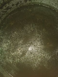 صورة لوصفة شوربه ملوخيه