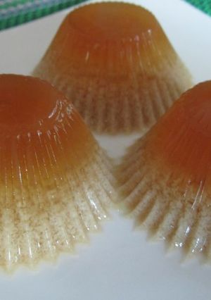 A picture of Agar agar santan.