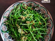 Gambar tunas kacang