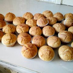 A picture of Vanilla cupcakes.