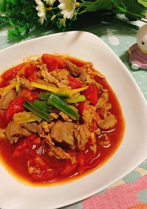酸酸甜甜好下飯～蕃茄炒肉片 的食譜成品照片