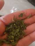 Perejil deshidratado (hecho en casa)