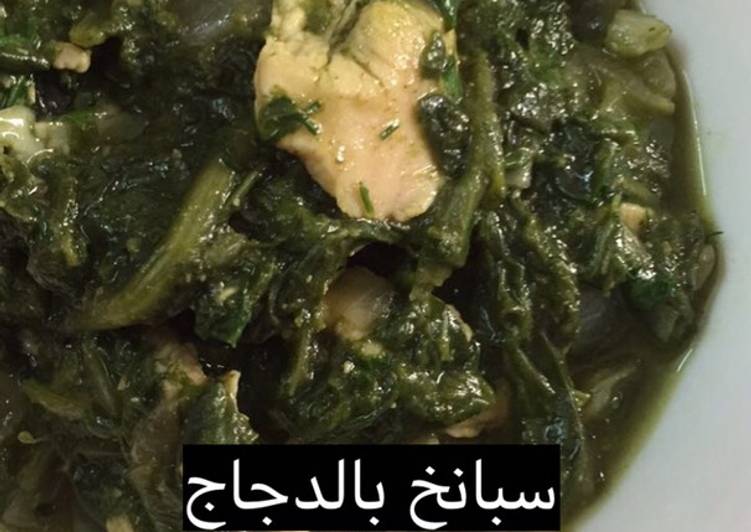 سبانخ بالدجاج