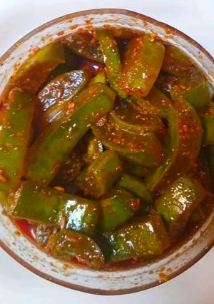 A picture of Aloevera achaar (pickle).