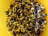 முளைகட்டிய பச்சை பயிறு மற்றும் முழு கருப்பு உளுந்து(sprouted greengram and black dal in tamil)