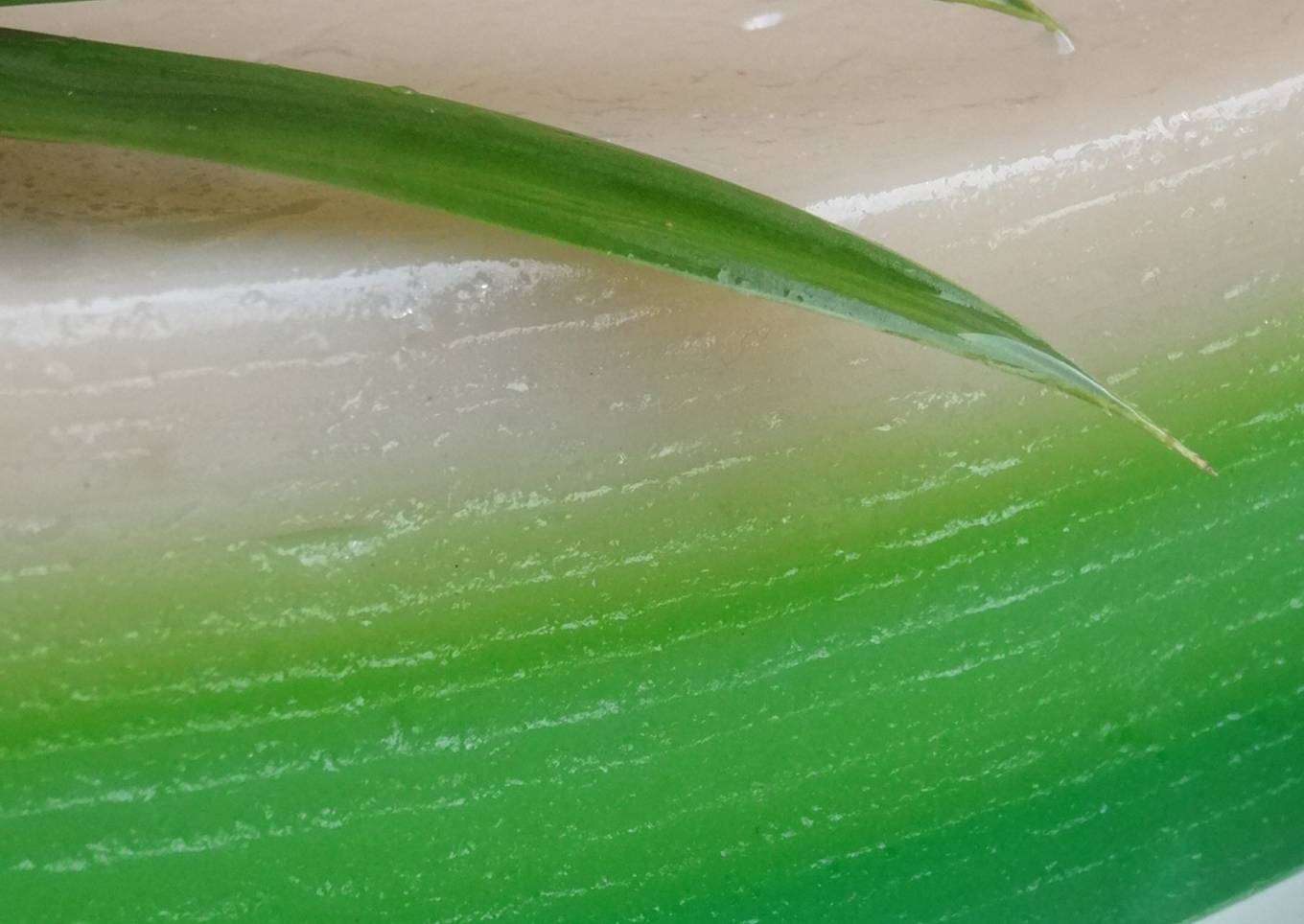 Kue Lapis Tepung Beras Ombre Hijau + tips