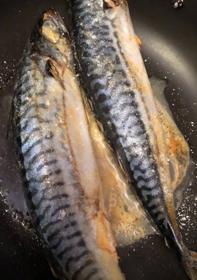 Скумбрия 🐠