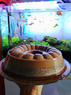 Foto resep Puding milo oreo coklat