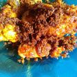 Ayam goreng srundeng😍