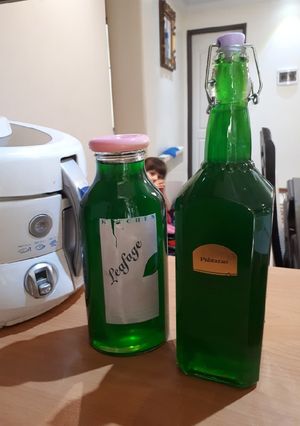 عکسی از دستور شربت نعنا