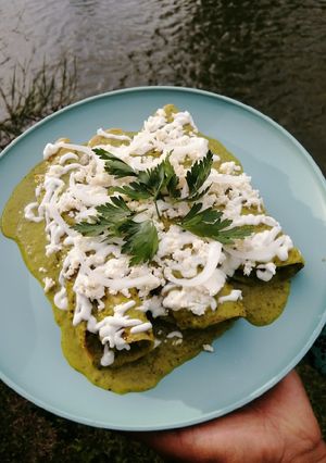 Una foto de Enchiladas suizas