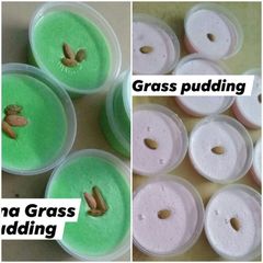 A picture of Grass pudding.