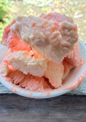 Foto resep Ice Cream pepaya Homemade sehat