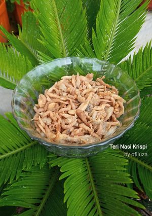 Foto resep Teri Nasi Krispi