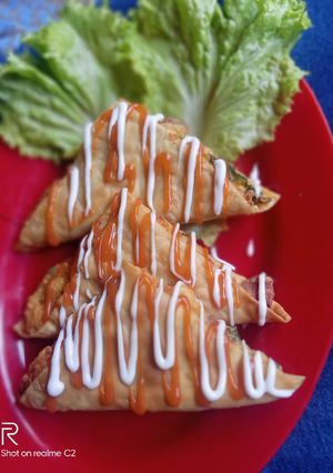 Foto resep Tahu lipat pangsit