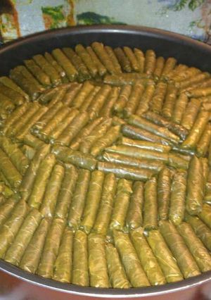 صورة لوصفة دوالي بلحمه