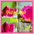 Puding Agar Naga Merah
