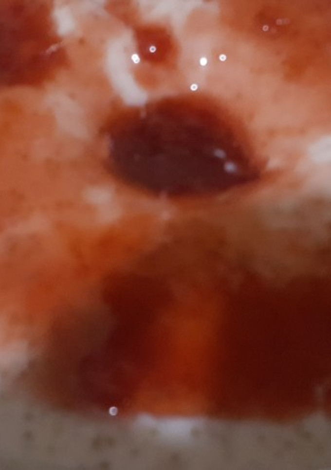 Una foto de Gelatina de yogurt y fresa