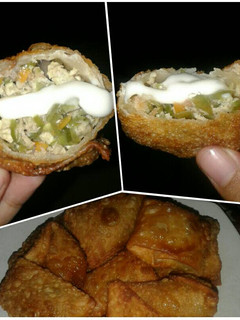 Foto resep Kulit Pangsit Isi Daging Sayur Mayo