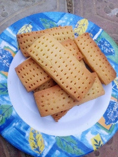 Biskit me dandanon bota ainihin hoton girkin