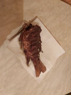 Gluténmentes sült keszeg hal recept fotója