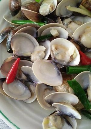 清炒蛤蜊【豆豆愛的料理】 的食譜成品照片