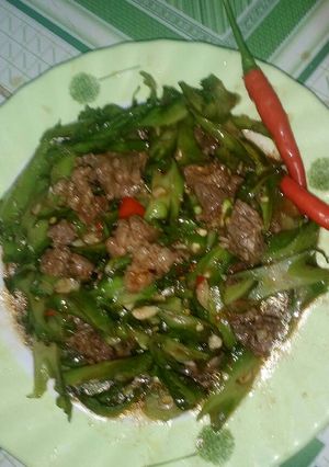 Hình của món Thit bò xào đậu rồng..