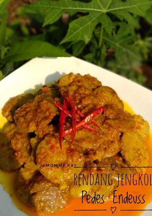 Foto resep Rendang Jengkol Pedas Endeuss
