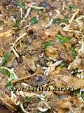 Char Kuetiau Kerang Versi Kering (Homemade Sos)