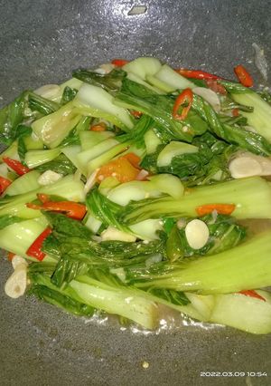 Foto resep Tumis Pokcoy Saus Tiram