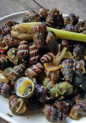 Foto resep Siput laut balelo with the real taste