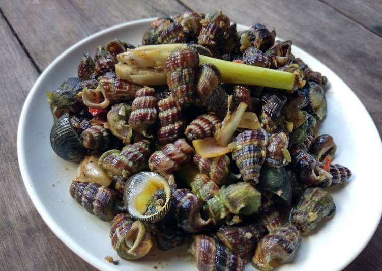 Siput laut balelo with the real taste