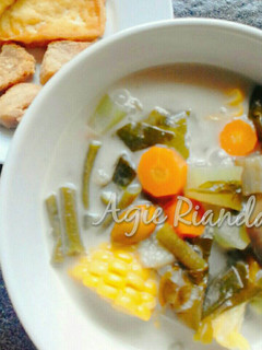 Foto resep Sayur lodeh bumbu racik (Simpel)