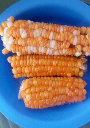 A picture of Boiled corn.