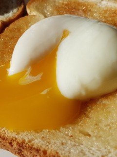 A picture of Sous Vide Soft Poached Eggs.