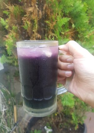 Foto resep Es Bunga Telang