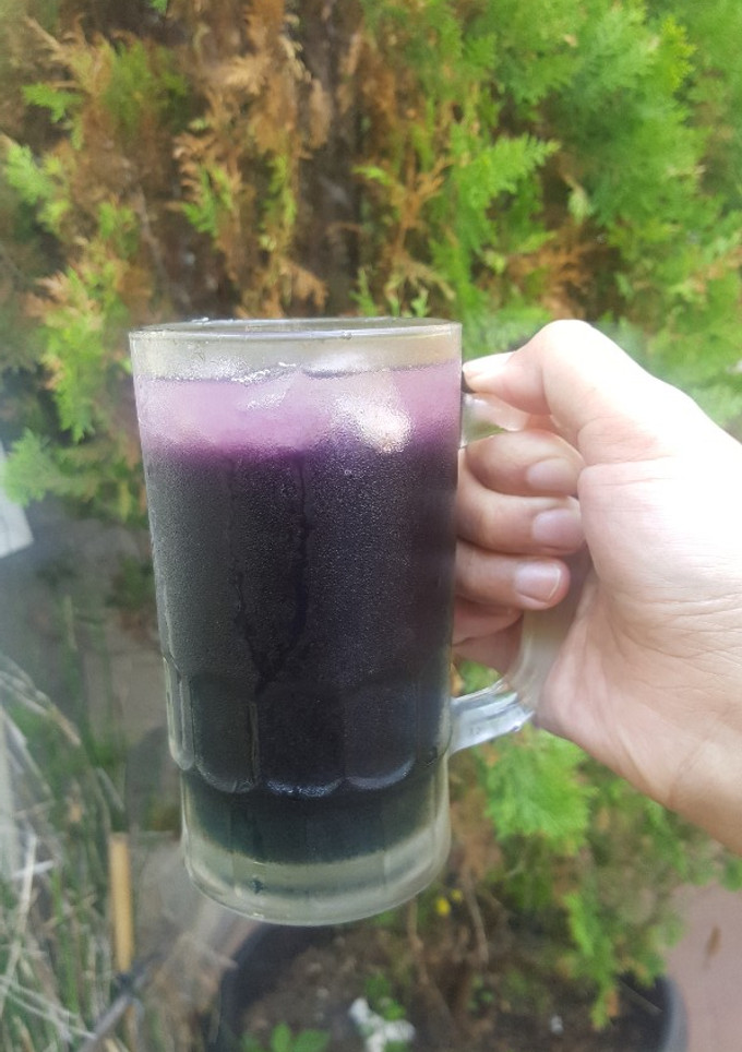 Foto resep Es Bunga Telang
