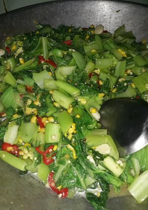 Foto resep Cah Sawi Pait